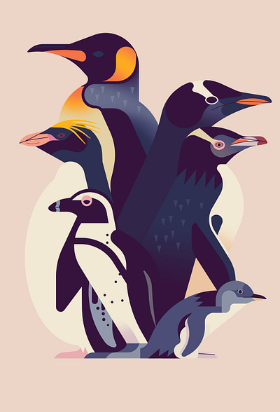 Penguins 2d animals book cover digital flat folioart illustration owen davey penguins publishing species stylised wildlife